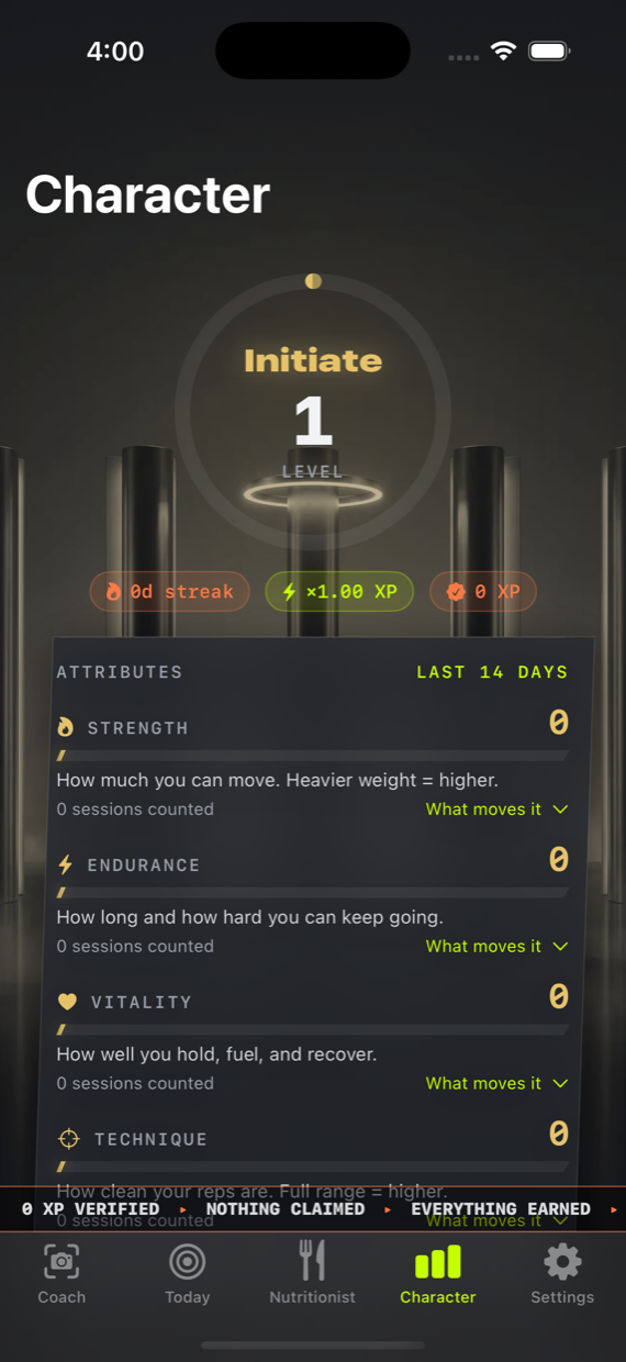 Character tab: rank ring and attributes